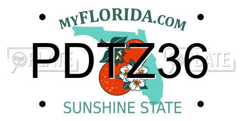 PDTZ36 Florida License Plate