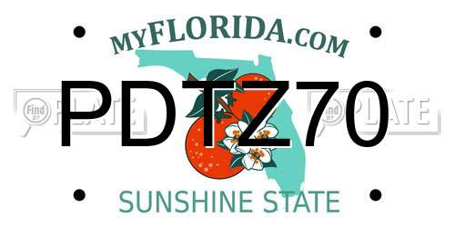 PDTZ70 Florida License Plate