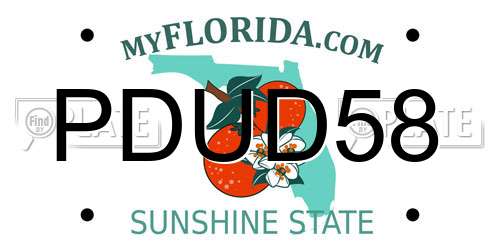 PDUD58 Florida License Plate