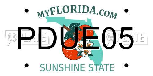 PDUE05 Florida License Plate