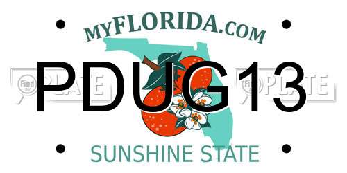 PDUG13 Florida License Plate
