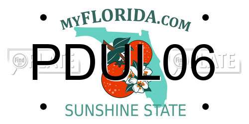 PDUL06 Florida License Plate