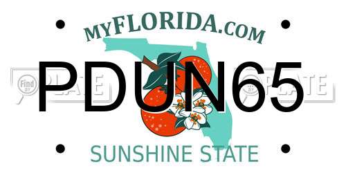 PDUN65 Florida License Plate
