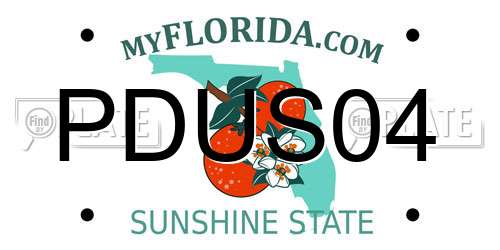 PDUS04 Florida License Plate