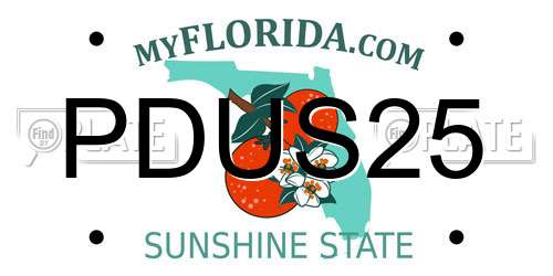 PDUS25 Florida License Plate