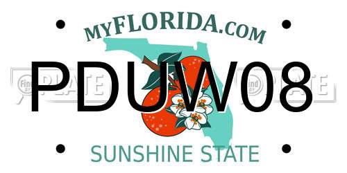 PDUW08 Florida License Plate