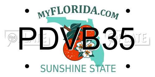 PDVB35 Florida License Plate