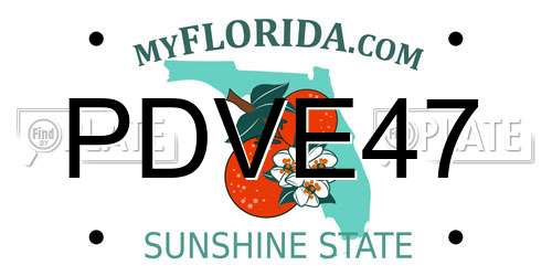 PDVE47 Florida License Plate