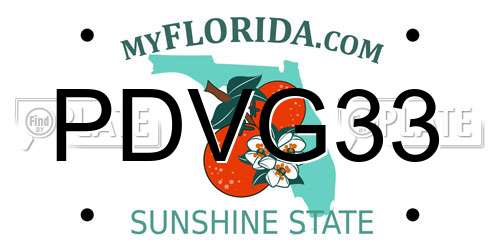PDVG33 Florida License Plate