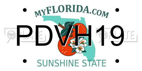 PDVH19 Florida License Plate