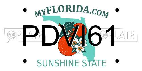 PDVI61 Florida License Plate