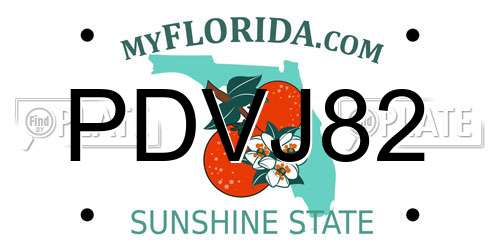 PDVJ82 Florida License Plate