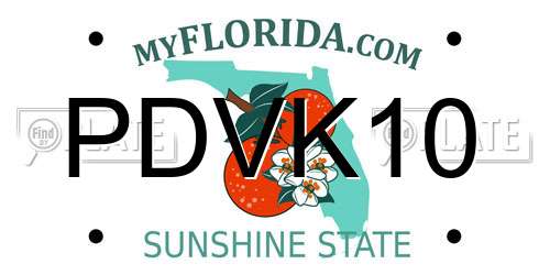 PDVK10 Florida License Plate