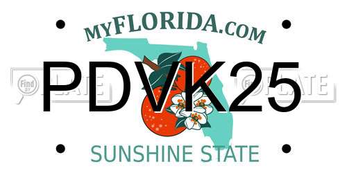 PDVK25 Florida License Plate