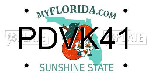 PDVK41 Florida License Plate