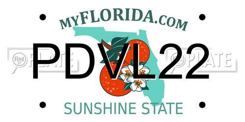 PDVL22 Florida License Plate