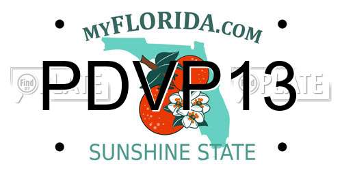 PDVP13 Florida License Plate