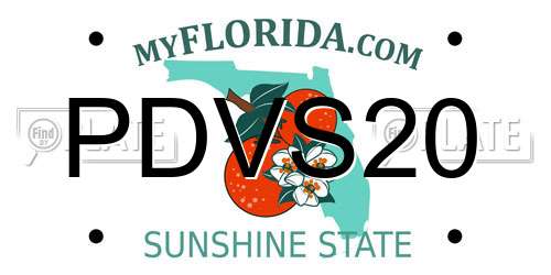 PDVS20 Florida License Plate