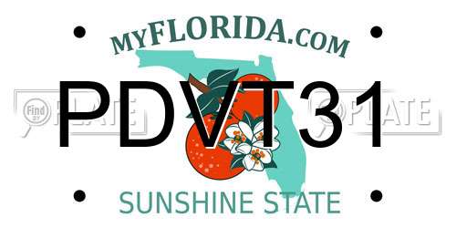 PDVT31 Florida License Plate