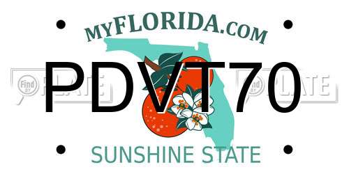 PDVT70 Florida License Plate