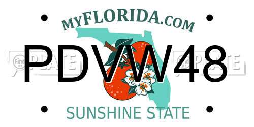 PDVW48 Florida License Plate