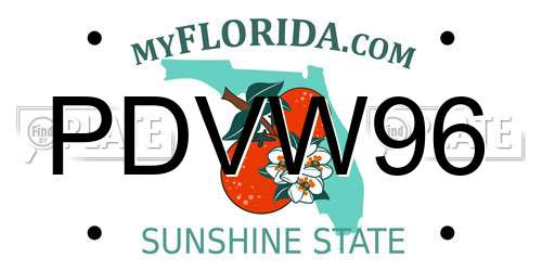 PDVW96 Florida License Plate