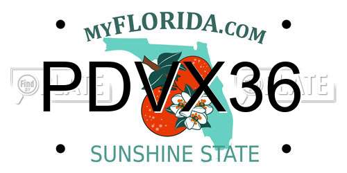 PDVX36 Florida License Plate