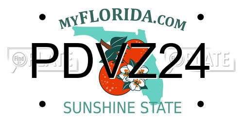 PDVZ24 Florida License Plate