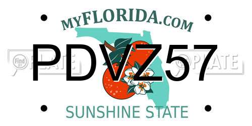 PDVZ57 Florida License Plate