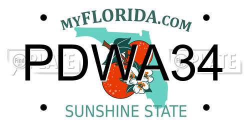 PDWA34 Florida License Plate
