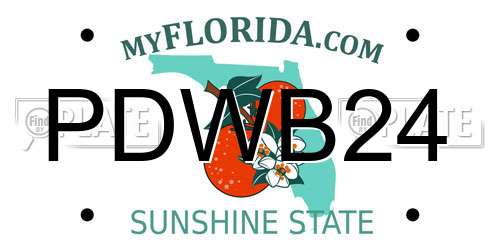 PDWB24 Florida License Plate