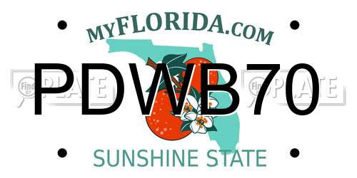 PDWB70 Florida License Plate