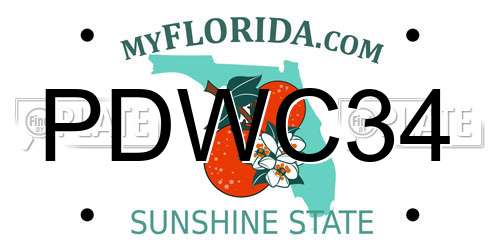 PDWC34 Florida License Plate