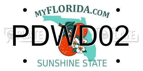 PDWD02 Florida License Plate