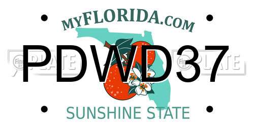 PDWD37 Florida License Plate