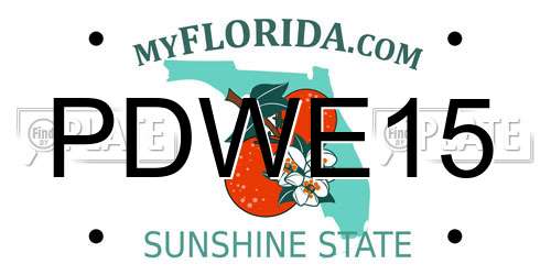 PDWE15 Florida License Plate