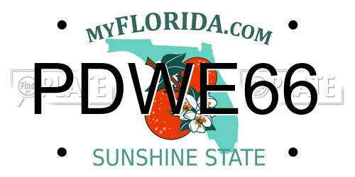 PDWE66 Florida License Plate