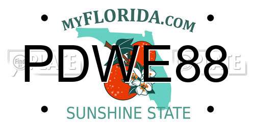 PDWE88 Florida License Plate