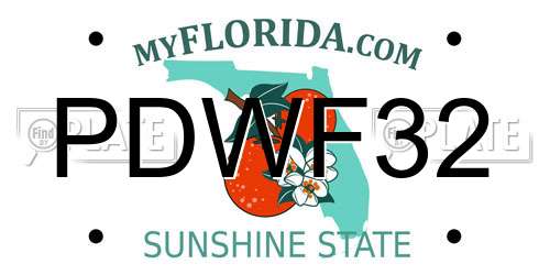 PDWF32 Florida License Plate