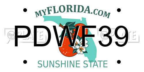 PDWF39 Florida License Plate