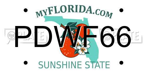 PDWF66 Florida License Plate
