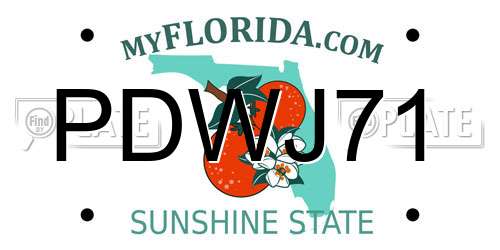 PDWJ71 Florida License Plate