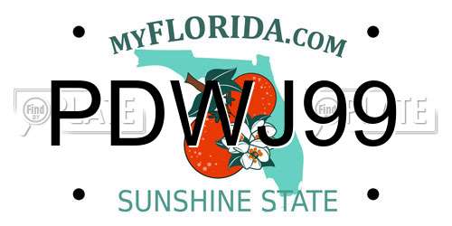 PDWJ99 Florida License Plate