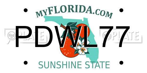 PDWL77 Florida License Plate