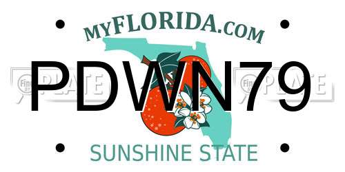 PDWN79 Florida License Plate