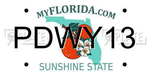 PDWY13 Florida License Plate