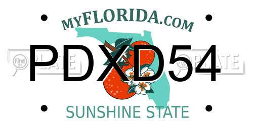 PDXD54 Florida License Plate