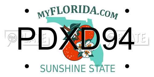 PDXD94 Florida License Plate
