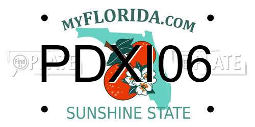 PDXI06 Florida License Plate