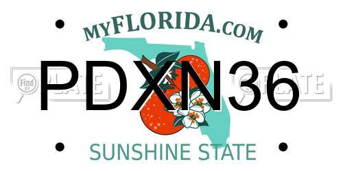 PDXN36 Florida License Plate
